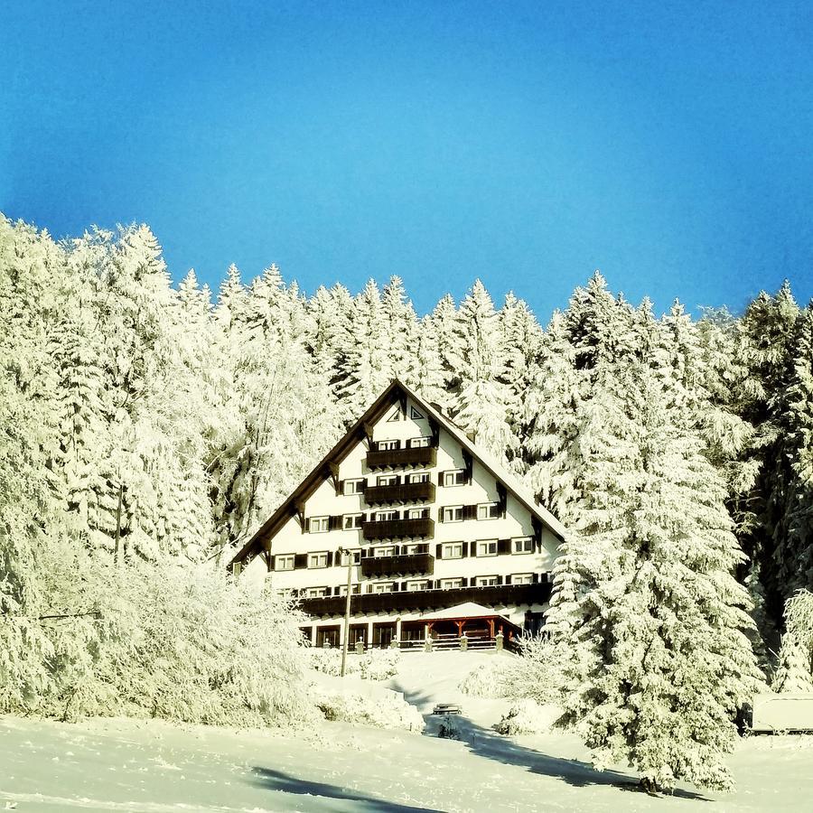Tisa Pohorje 3*